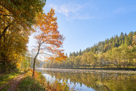 Gemeinde Geiersthal Landkreis Regen Gumpenried-Asbach Schwarzer Regen Bayerisch Kanada (Dirschl Johann) Deutschland REG